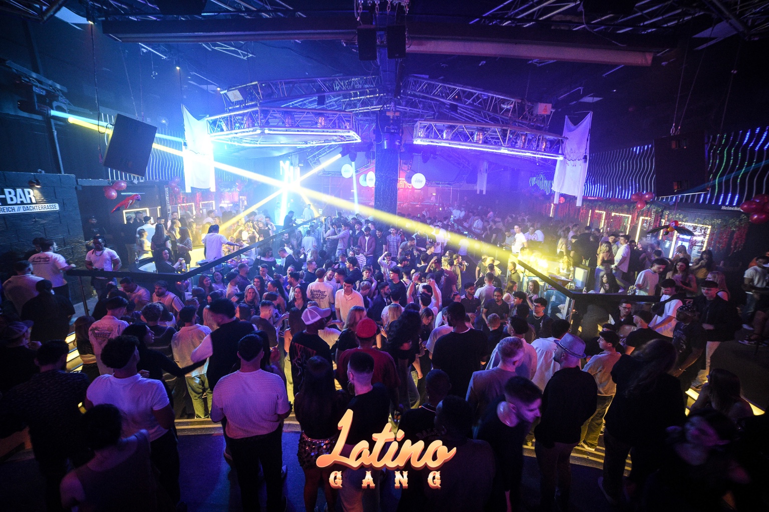 Latino Gang – Latin & Afro Event live